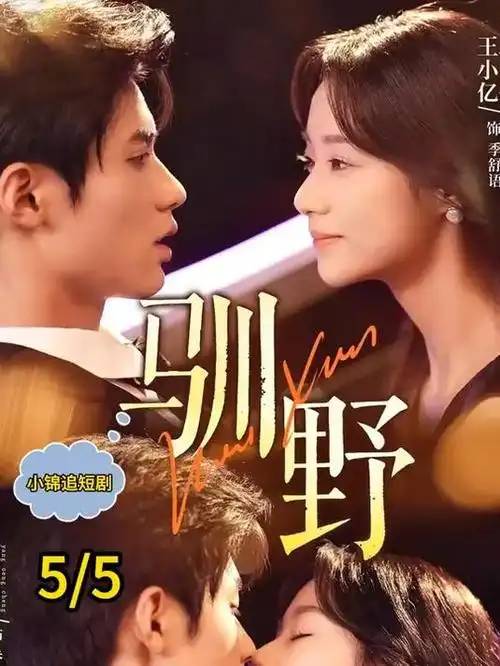 星河邮差标本细节图